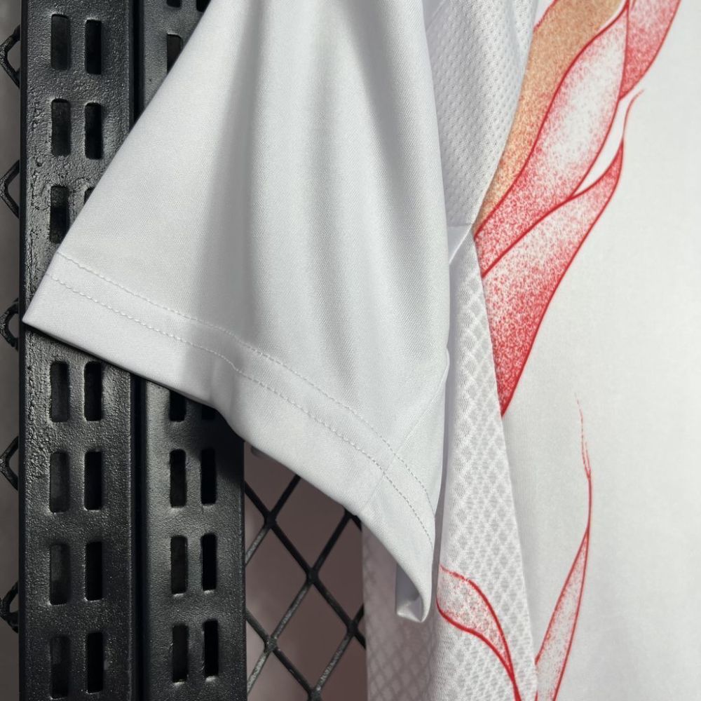 Japan 2024/25 Away Jersey
