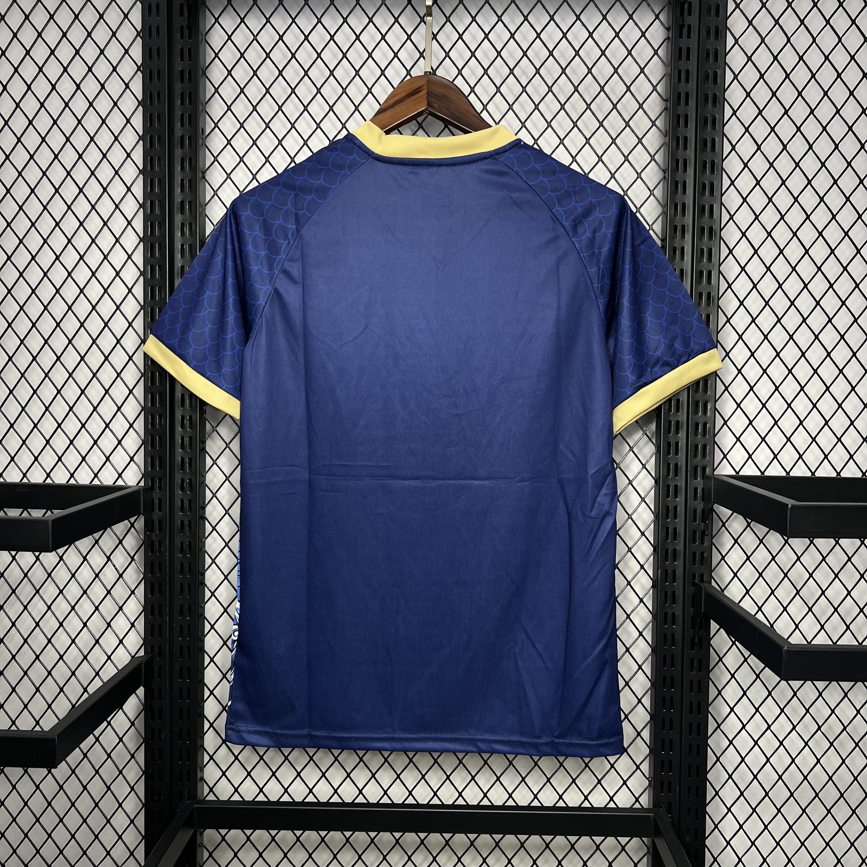 Japan 2024/25 Dragon Edition Jersey