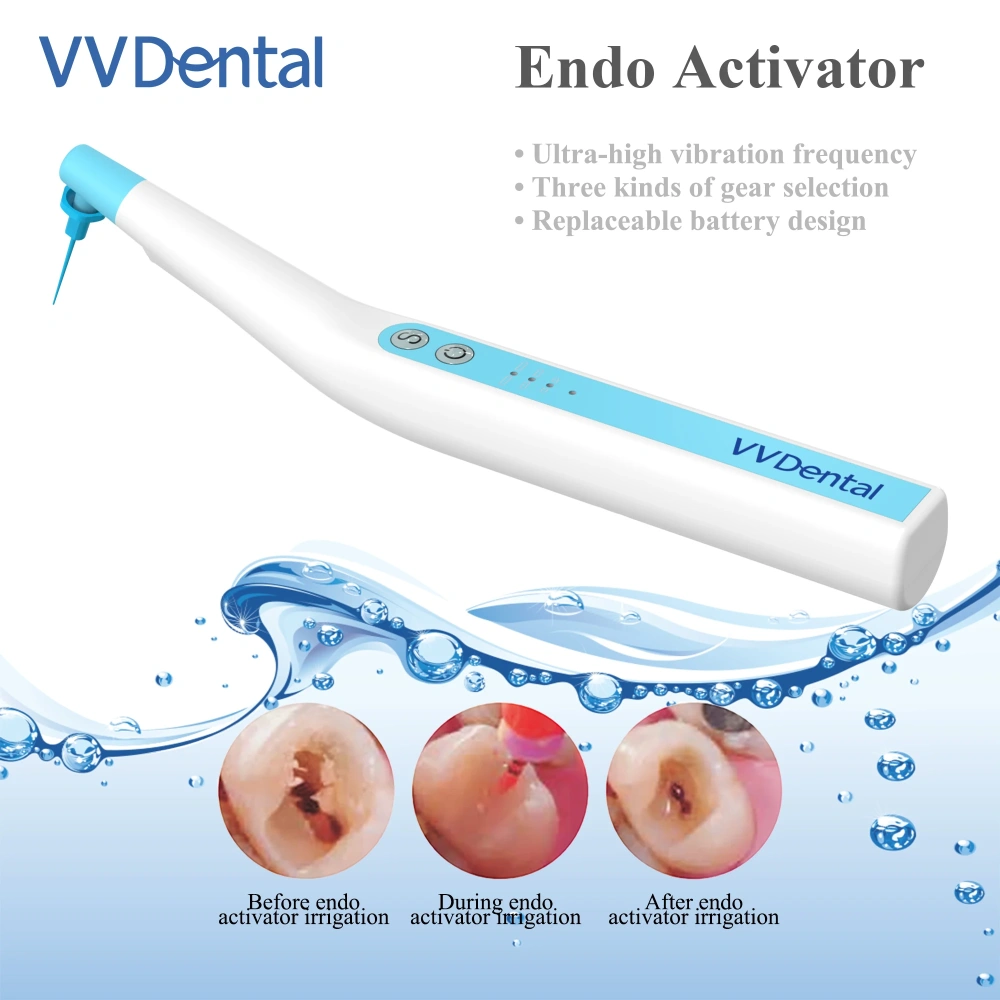 VVDental Endomotor Root Canal Sonic Irrigator Endo Activator  Irrigator Endodontic Cleaning Dental Motor with 60 Pcs  Endo Files