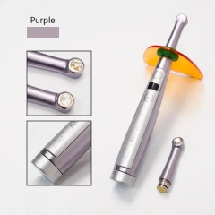 US Plug-light purple