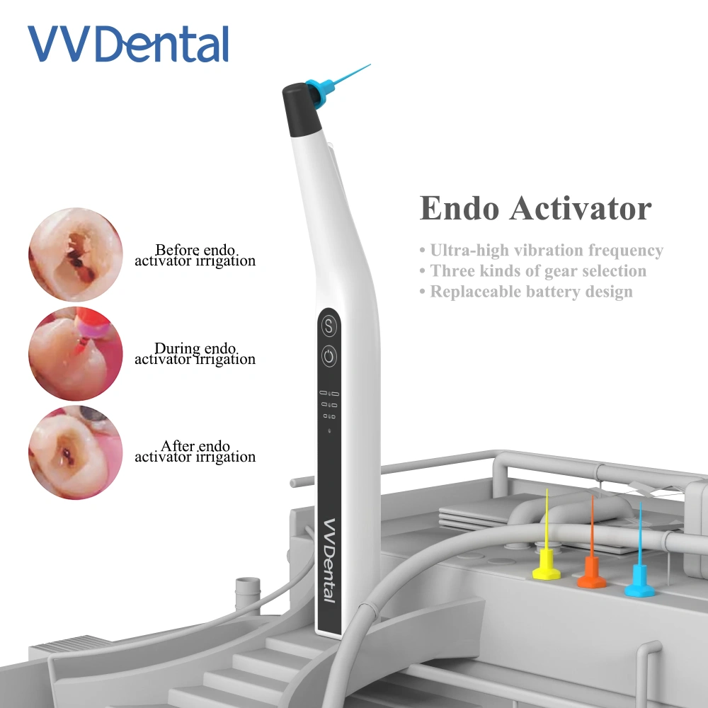 VVDental Endomotor Root Canal Sonic Irrigator Endo Activator  Irrigator Endodontic Cleaning Dental Motor with 60 Pcs  Endo Files