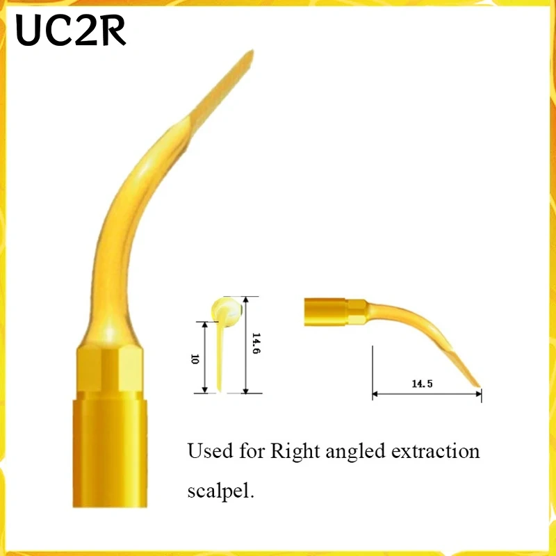 DENTAL Tooth Extraction Surgery Set is Suitable for mectron/nsk/woodecker/satelec/dmetec Tooth Extraction Surgery Work Tip WSEK