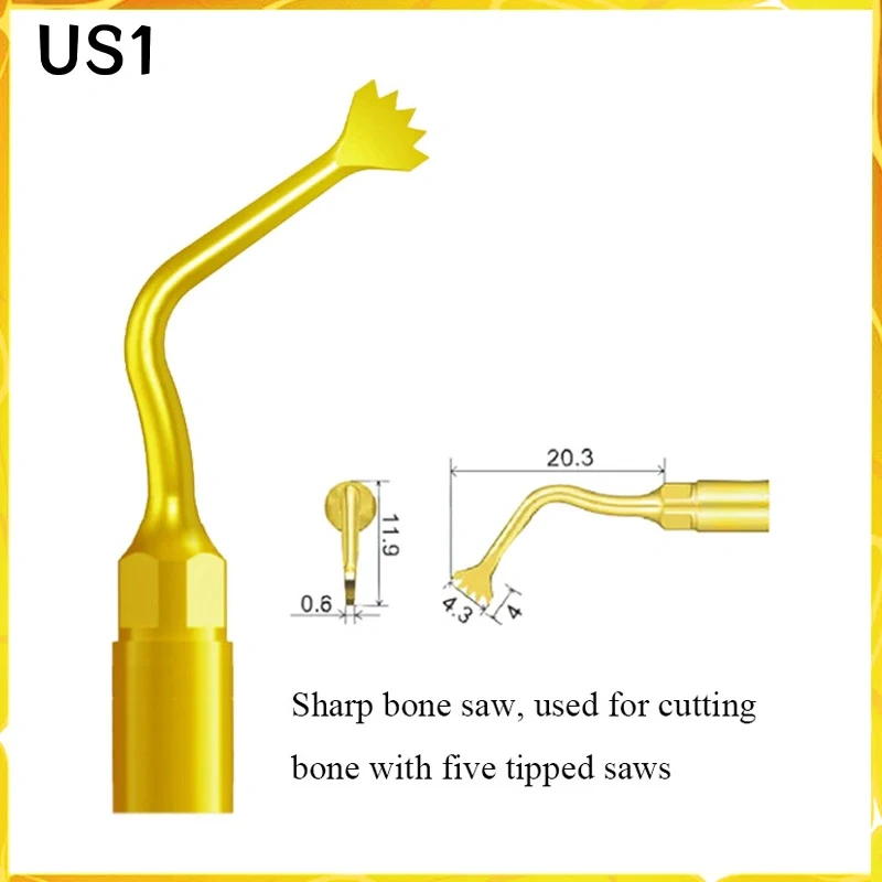 Multi-Purpose Suit for MECTRON/ WOODECKER/SATELEC Tooth Extraction and Implant Periodontal Surgery Maxillary Sinus Lift Work Tip
