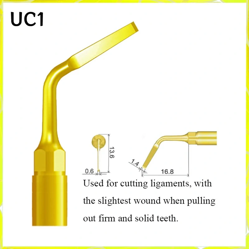 Multi-Purpose Suit for MECTRON/ WOODECKER/SATELEC Tooth Extraction and Implant Periodontal Surgery Maxillary Sinus Lift Work Tip