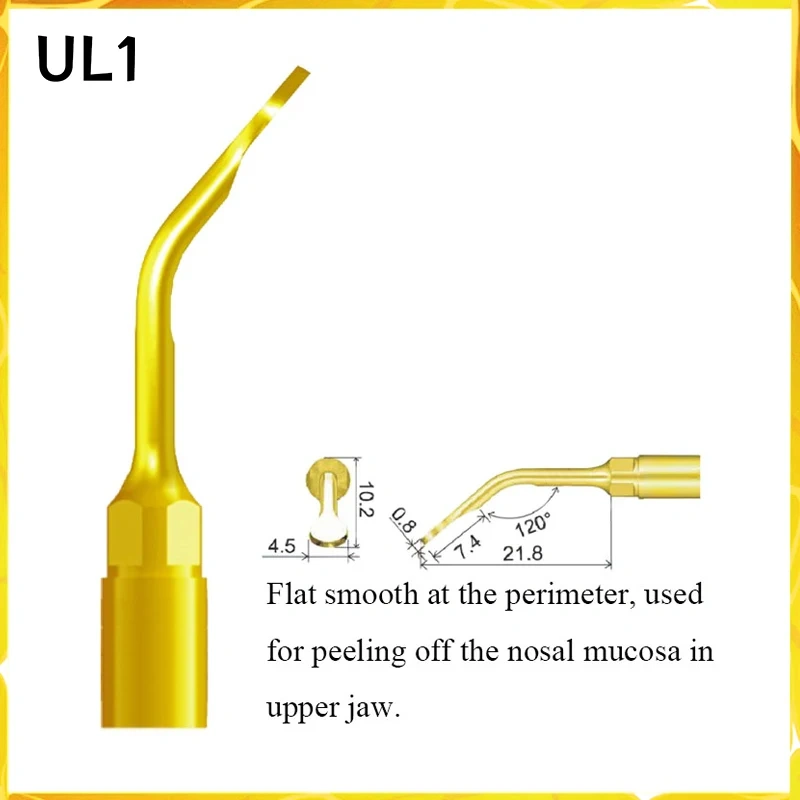 Multi-Purpose Suit for MECTRON/ WOODECKER/SATELEC Tooth Extraction and Implant Periodontal Surgery Maxillary Sinus Lift Work Tip