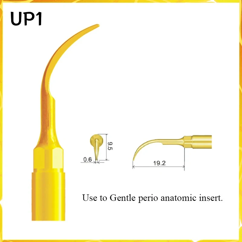 Multi-Purpose Suit for MECTRON/ WOODECKER/SATELEC Tooth Extraction and Implant Periodontal Surgery Maxillary Sinus Lift Work Tip