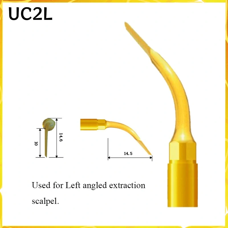 DENTAL Tooth Extraction Surgery Set is Suitable for mectron/nsk/woodecker/satelec/dmetec Tooth Extraction Surgery Work Tip WSEK
