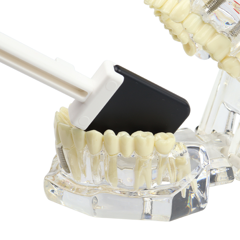 VVDental Ruixin Dental Imaging Sensor - USB High-definition Images with Complete Installation Files and Visual Tutorial