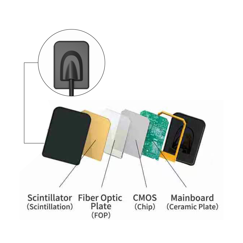VVDental Handy Brand X-ray Sensor USB Connection Computer Imaging System Large HDR-500C/600C Dental Sensors Health Monitoring