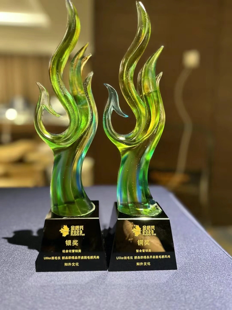 Golden Sycamore Award - Integrated Marketing Bronze