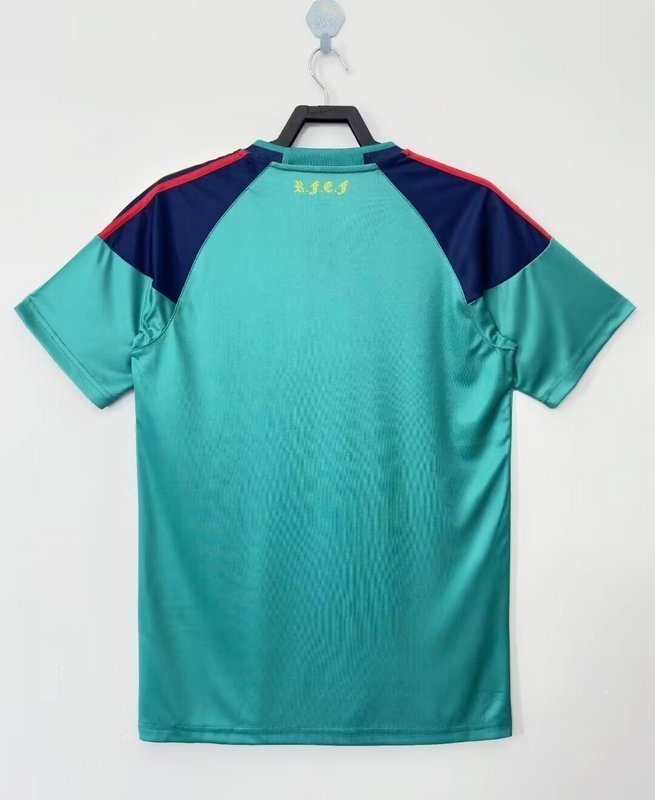 2010  Retro Spain  Goalkeeper /GK  GREEN  jersey