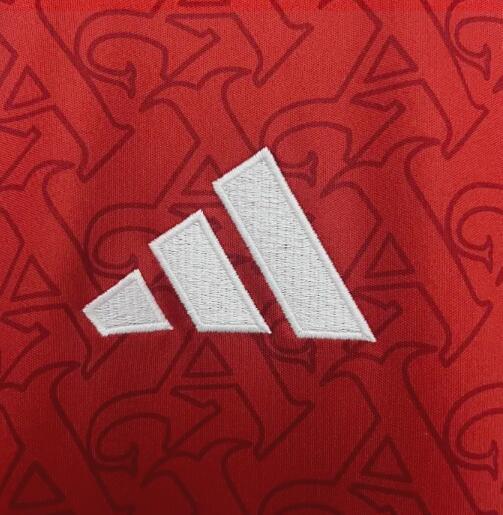2025/26 Arsenal Home Jersey Fan Version