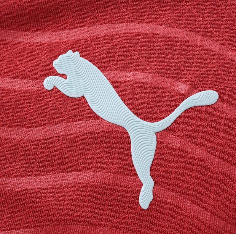 2026 World cup Portugal Home top thai best quality soccer Jersey Player version 002
