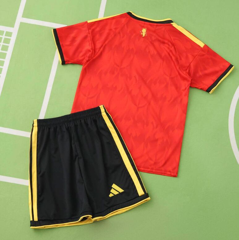 2026 World cup Belgium Home top thai best quality soccer Jersey kids kits sets