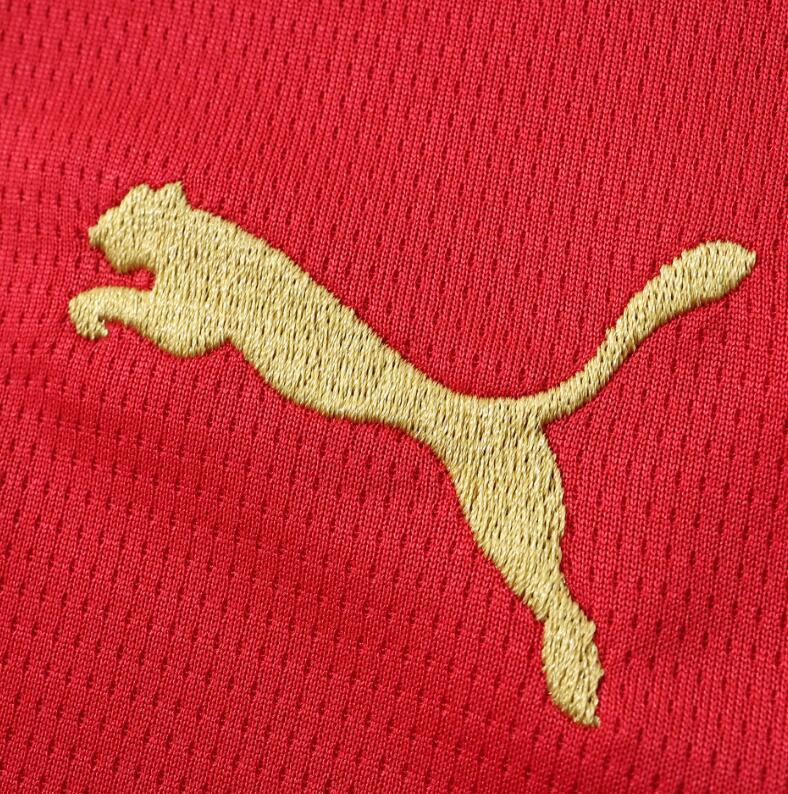 2026 World cup Morocco Home top thai best  quality soccer Jersey  fan version