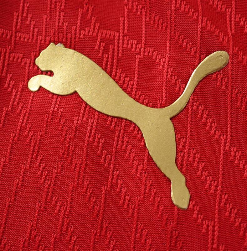 2026 World cup Morocco  Home top thai best quality soccer Jersey Player version 001