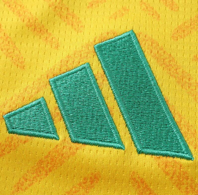 2026 World cup South Africa Home top thai best  quality soccer Jersey  fan version