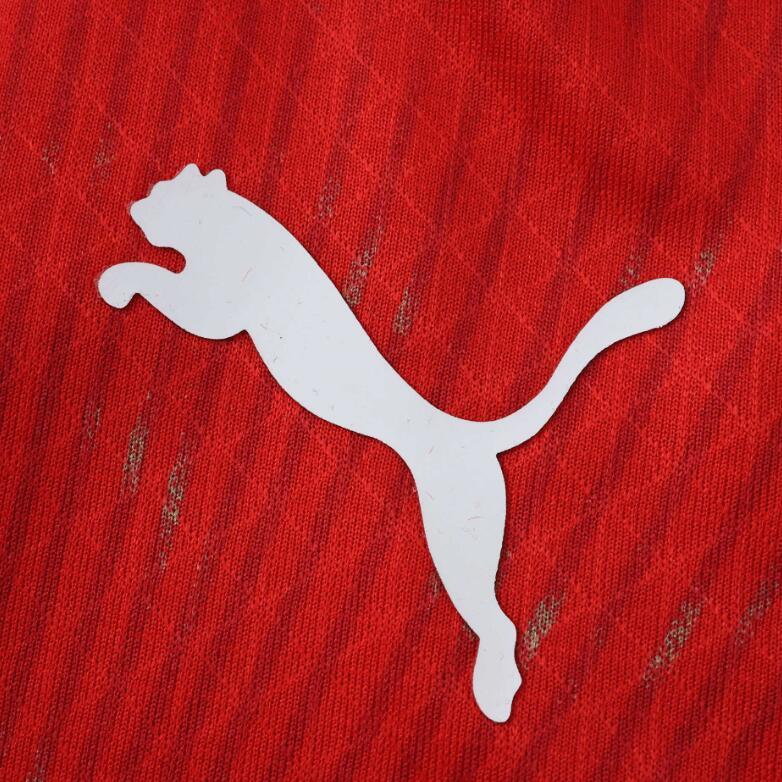 2026 World cup Switzerland  Home top thai best quality soccer Jersey Player version 001