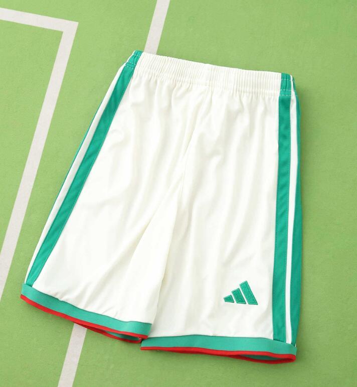 2026 World cup Algeria Home top thai best quality soccer Jersey kids kits sets