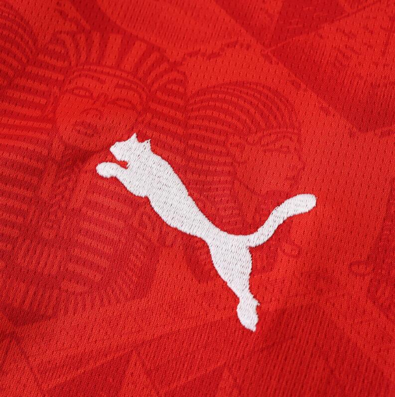 2026 World cup Egypt Away top thai best  quality soccer Jersey  fan version