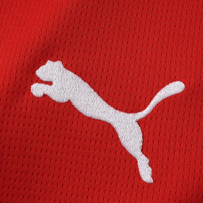 2026 World cup Austria Home top thai best  quality soccer Jersey  fan version