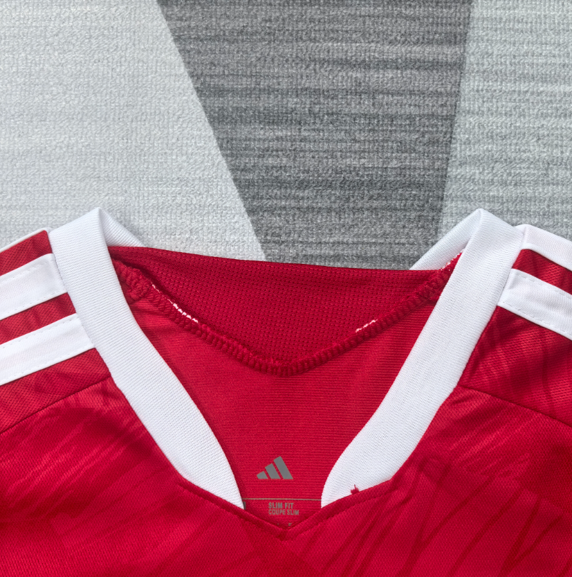 2026 2027 Benfica  Home   Jersey  fan version