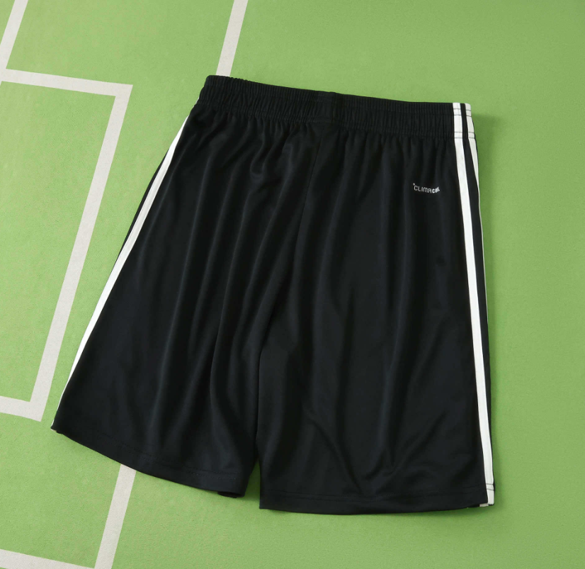 2026  World Cup  Argentina away   shorts fan version