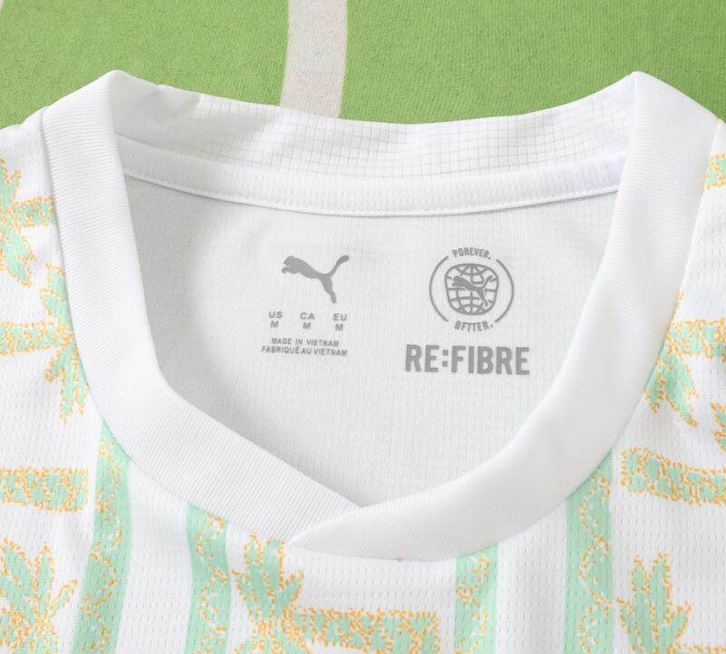 2026 World cup Ivory Coast  away  soccer  Jersey  fan version
