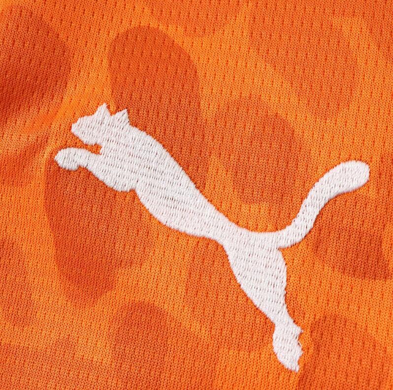 2026 World cup Ivory Coast soccer  Jersey  fan version