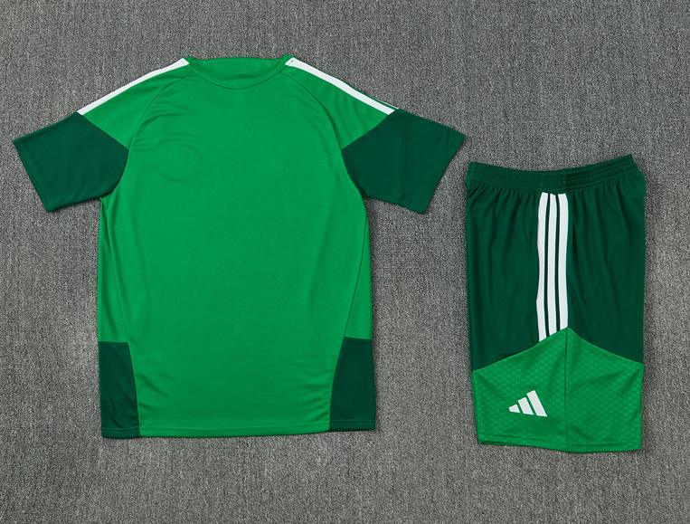 2026 World cup Algeria adult  kids  tracksuit  training suit  short  sleeves