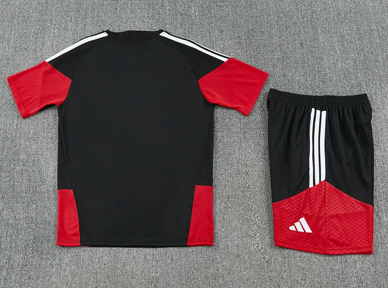 2026 World cup Germany  adult  kids  tracksuit  training suit  short  sleeves