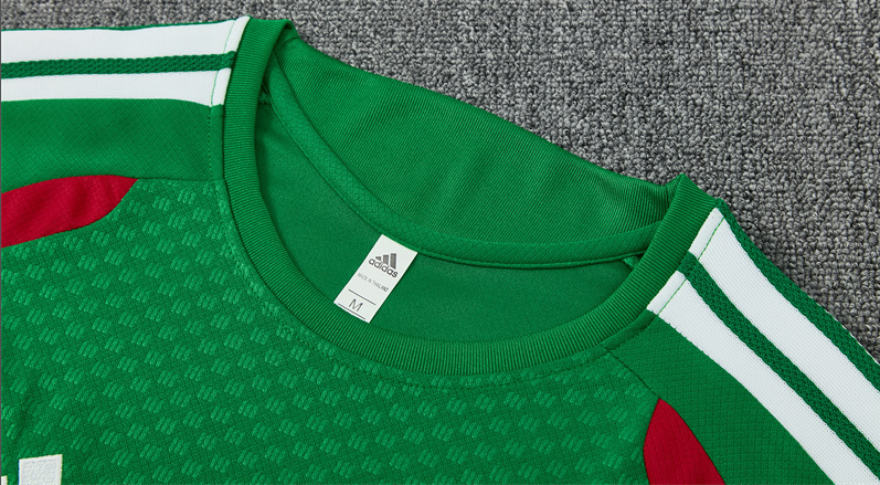 2026 World cup Algeria adult  kids  tracksuit  training suit  short  sleeves