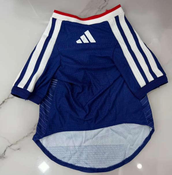 2026 World Cup  Japan  Pet dog  jersey