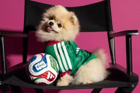 2026 World Cup Mexico  Pet dog  jersey