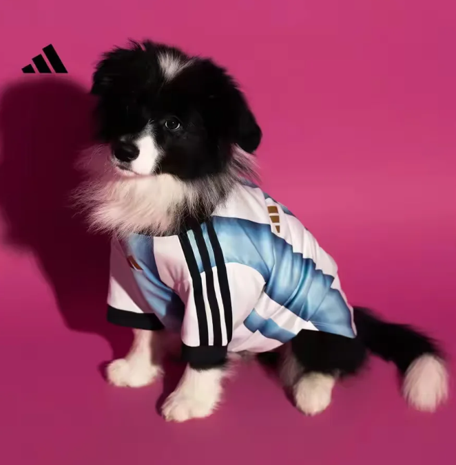 2026 World Cup  Japan  Pet dog clothes