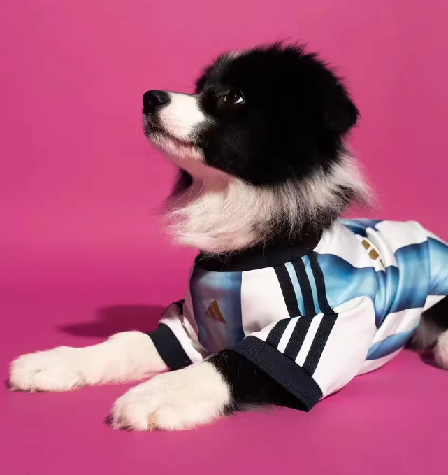 2026 World Cup  Japan  Pet dog clothes
