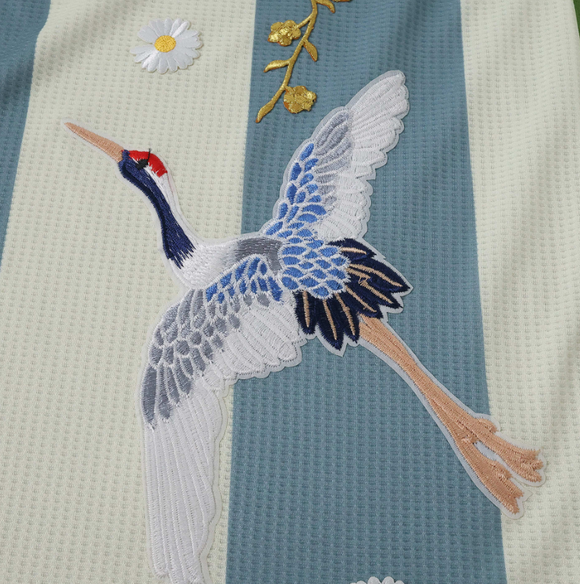 Argentina 50th anniversary embroidery Player version