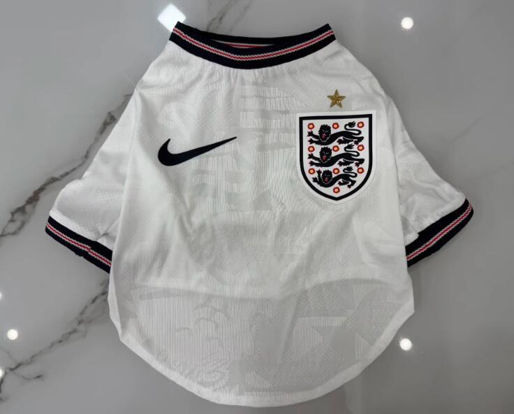 2026 2027 England Pet dog  jersey