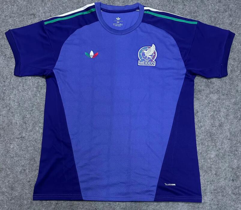 2026 World cup Mexico GK top fan version