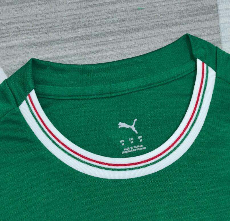 2026 2027  SE  Palmeiras Home Jersey Fan Version  green