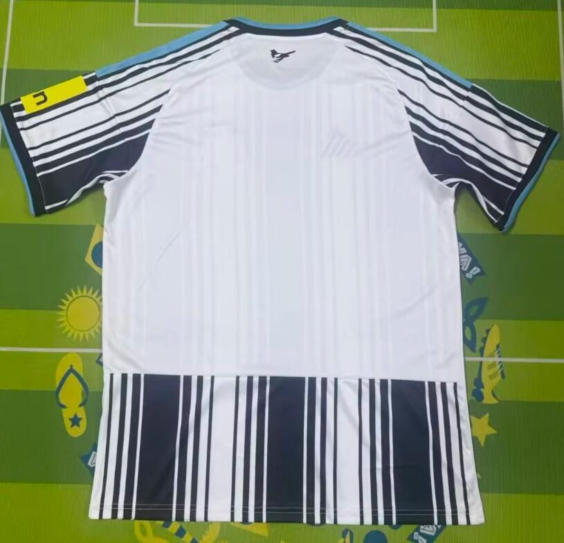 2026 2027   Newcastle United   Home Fan Version Jersey