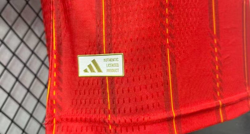2026 world cup  TWO STARS  Spain Home  Jersey Player Version  Long sleeves