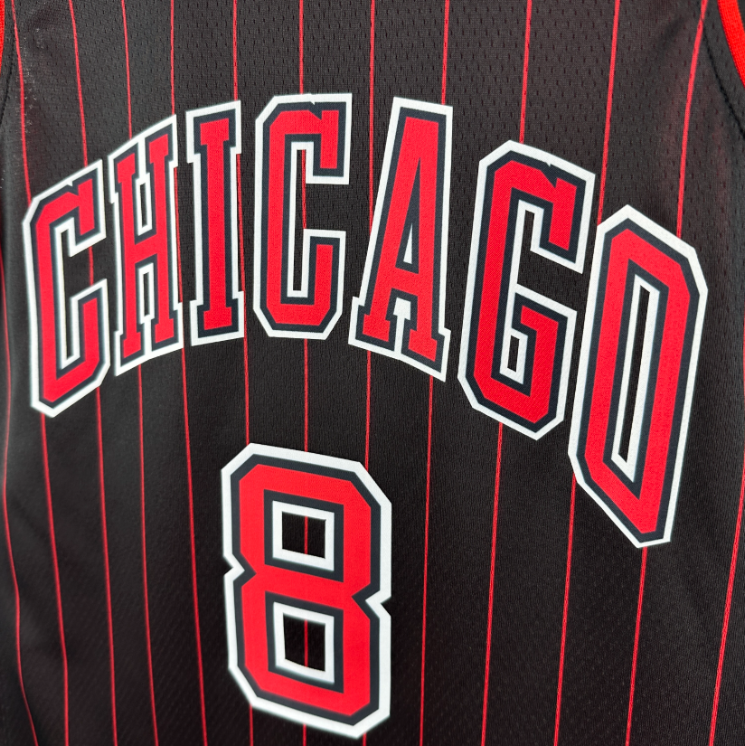 2026 NBA Jordan Brand Chicago Bulls  LAVINE 8#