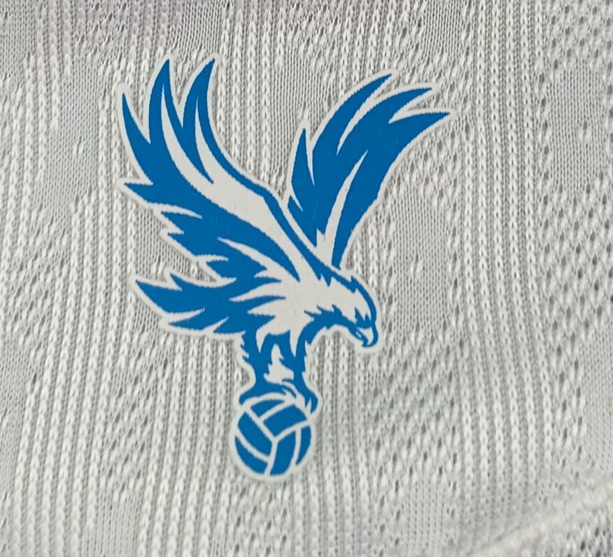 2026 2027 Crystal Palace  home Jersey Player Version dingsheng