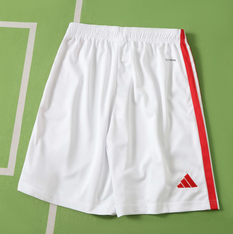 2026 2027 Benfica  Home shorts  fan version