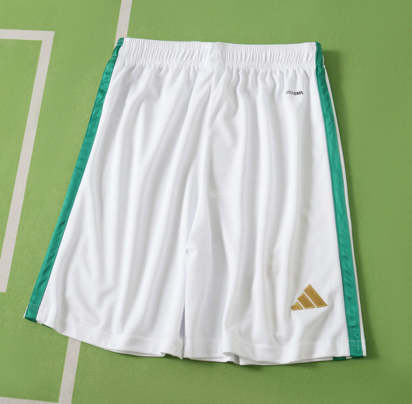 2026 2027  Celtic Home shorts  fan version