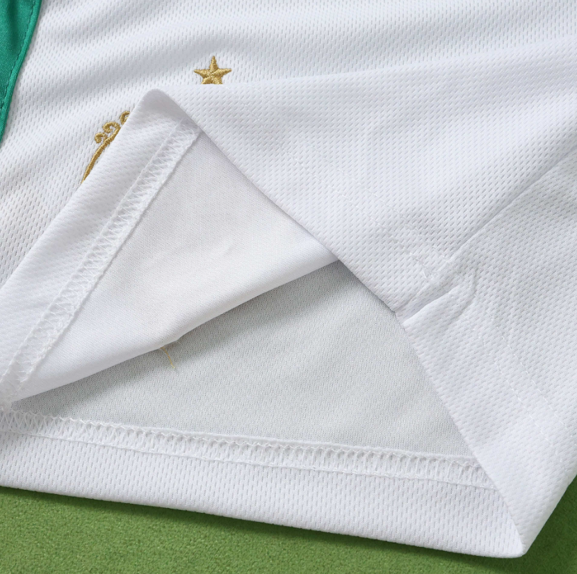 2026 2027  Celtic Home shorts  fan version
