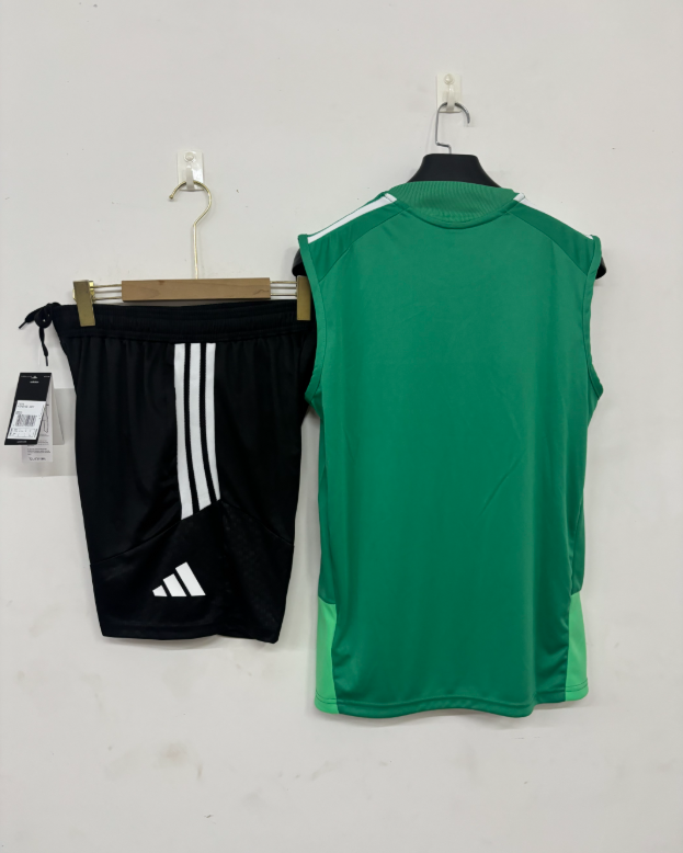 2026 2027  Celtic  adult  tracksuit  training suit  Vest no sleeves set