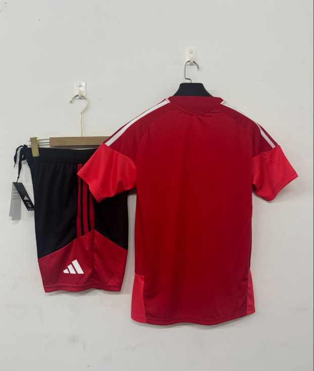 2026 2027  Benfica   adult  tracksuit  training suit  short  sleeves