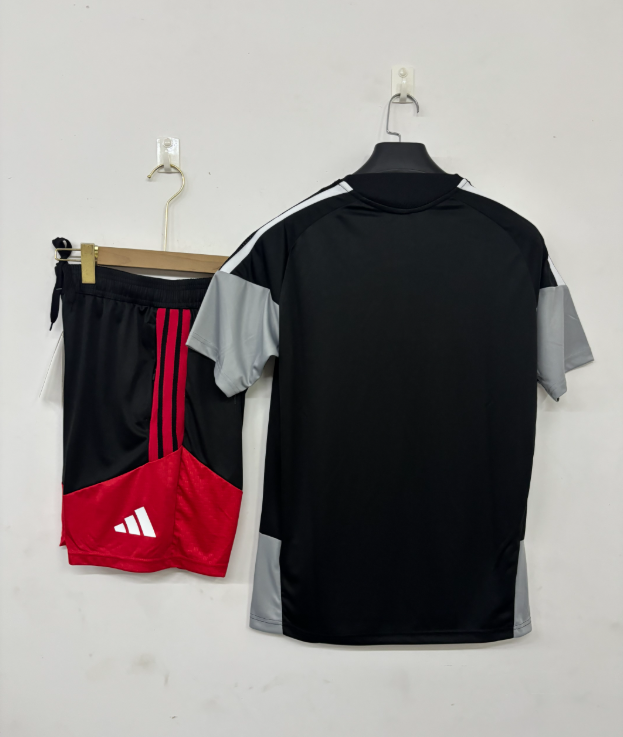 2026 2027  Benfica   adult  tracksuit  training suit  short  sleeves